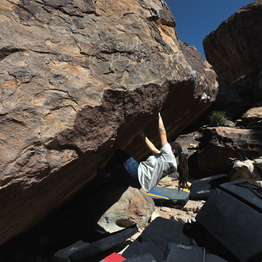 

Filename: SRM_20260307_1120450.jpg
Aperture: f/5.6
Shutter Speed: 1/500
Body: Canon EOS R6
Lens: Canon EF 16-35mm f/2.8 L