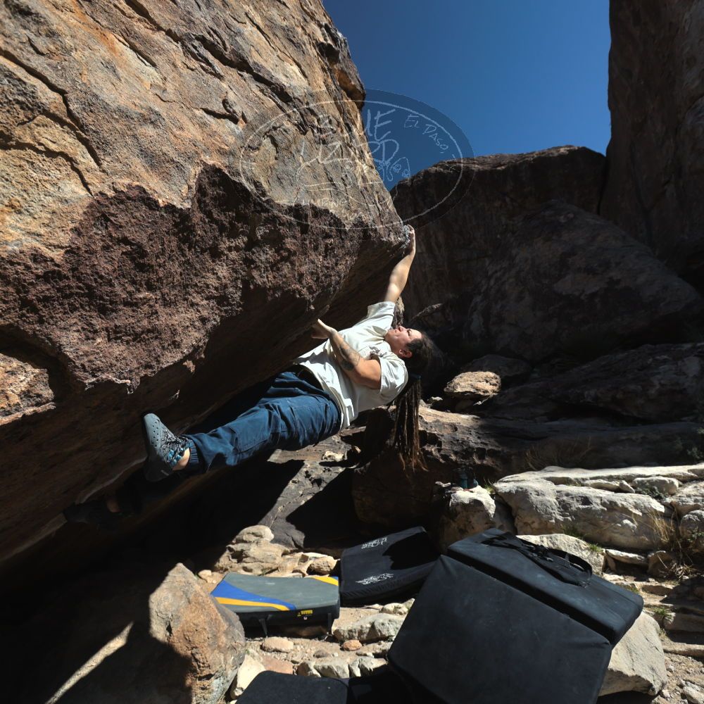 

Filename: SRM_20260307_1120550.jpg
Aperture: f/5.6
Shutter Speed: 1/500
Body: Canon EOS R6
Lens: Canon EF 16-35mm f/2.8 L