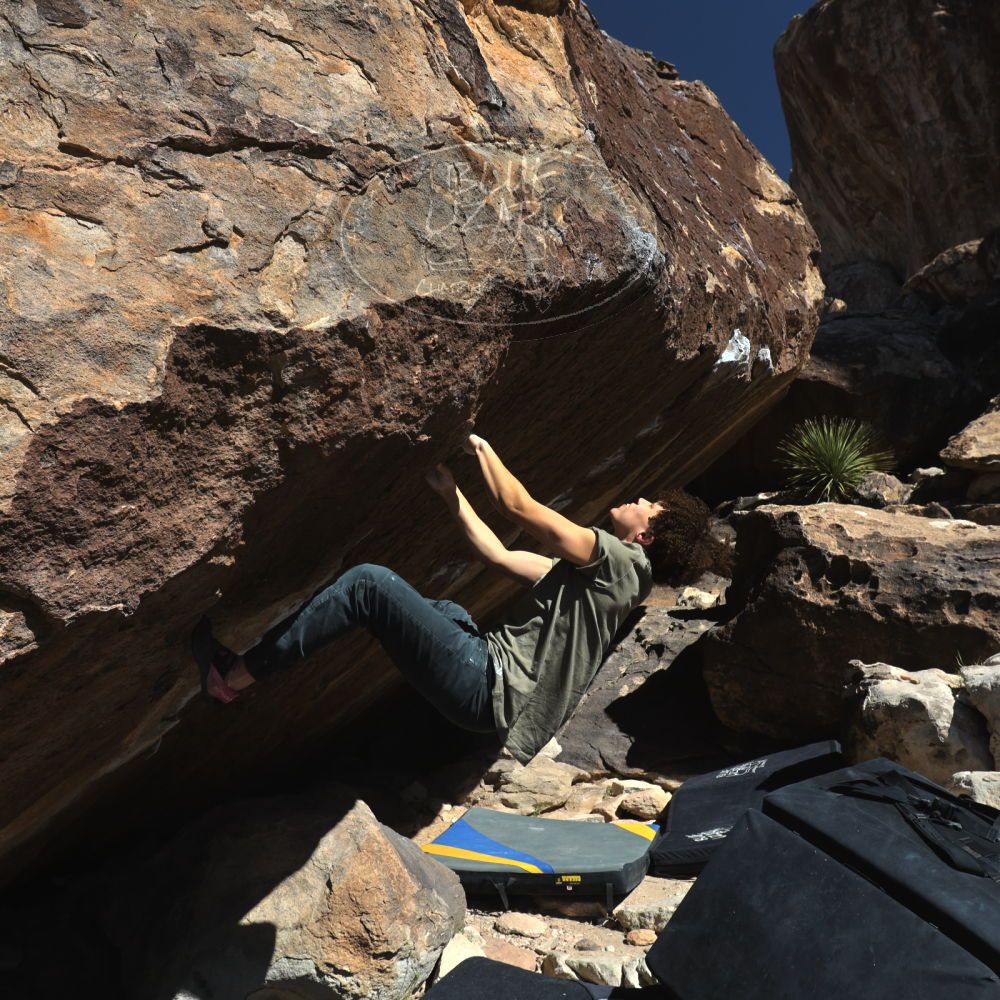 

Filename: SRM_20260307_1129190.jpg
Aperture: f/5.6
Shutter Speed: 1/500
Body: Canon EOS R6
Lens: Canon EF 16-35mm f/2.8 L