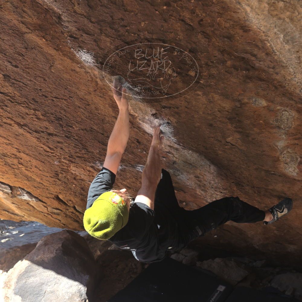 

Filename: SRM_20260307_1145550.jpg
Aperture: f/5.6
Shutter Speed: 1/500
Body: Canon EOS R6
Lens: Canon EF 16-35mm f/2.8 L