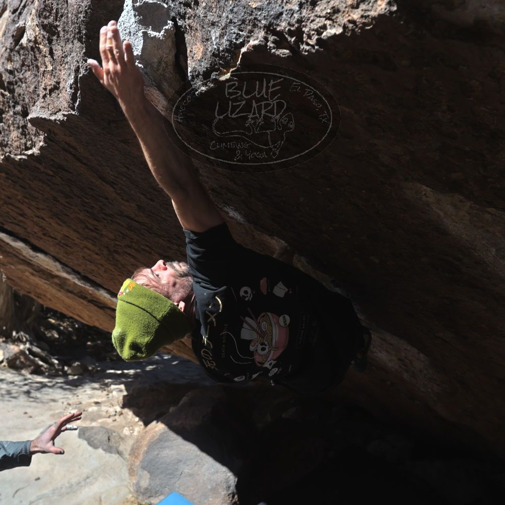 

Filename: SRM_20260307_1146010.jpg
Aperture: f/5.6
Shutter Speed: 1/500
Body: Canon EOS R6
Lens: Canon EF 16-35mm f/2.8 L