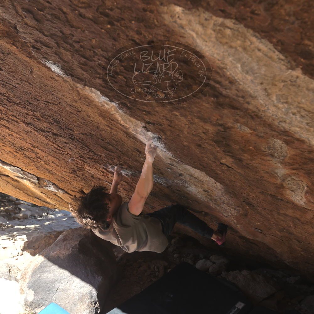 

Filename: SRM_20260307_1147570.jpg
Aperture: f/5.6
Shutter Speed: 1/500
Body: Canon EOS R6
Lens: Canon EF 16-35mm f/2.8 L