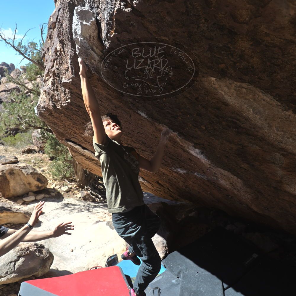 

Filename: SRM_20260307_1149360.jpg
Aperture: f/5.6
Shutter Speed: 1/500
Body: Canon EOS R6
Lens: Canon EF 16-35mm f/2.8 L