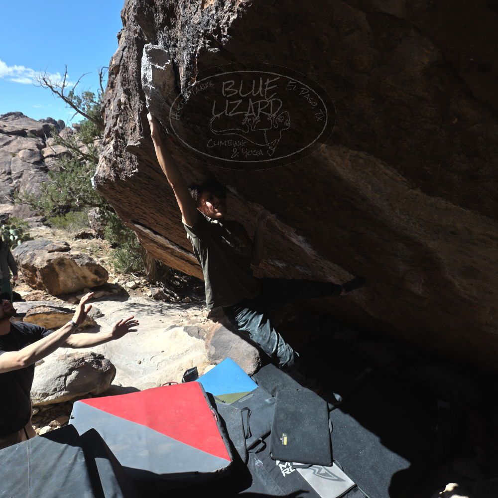 

Filename: SRM_20260307_1149370.jpg
Aperture: f/5.6
Shutter Speed: 1/500
Body: Canon EOS R6
Lens: Canon EF 16-35mm f/2.8 L