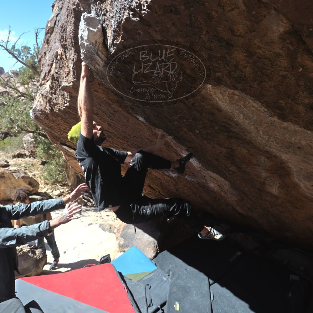 

Filename: SRM_20260307_1150260.jpg
Aperture: f/5.6
Shutter Speed: 1/500
Body: Canon EOS R6
Lens: Canon EF 16-35mm f/2.8 L