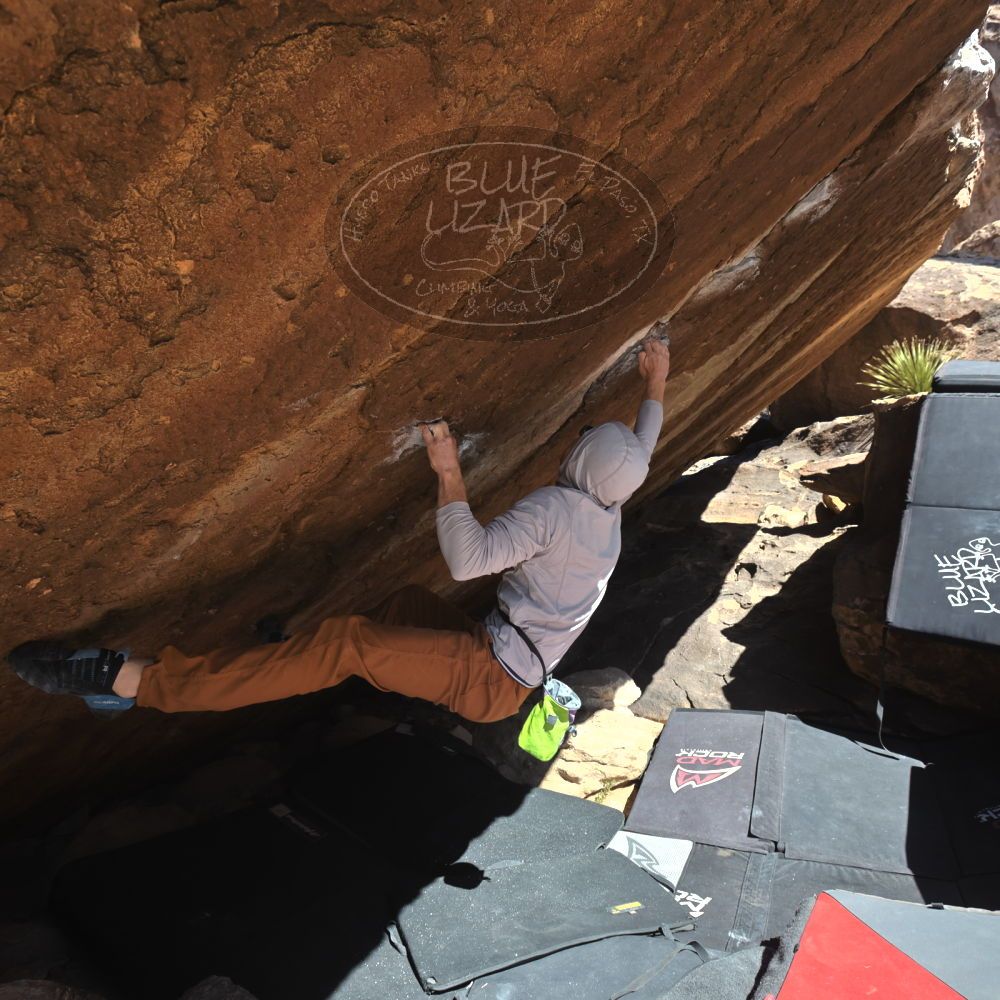 

Filename: SRM_20260307_1153120.jpg
Aperture: f/5.6
Shutter Speed: 1/500
Body: Canon EOS R6
Lens: Canon EF 16-35mm f/2.8 L