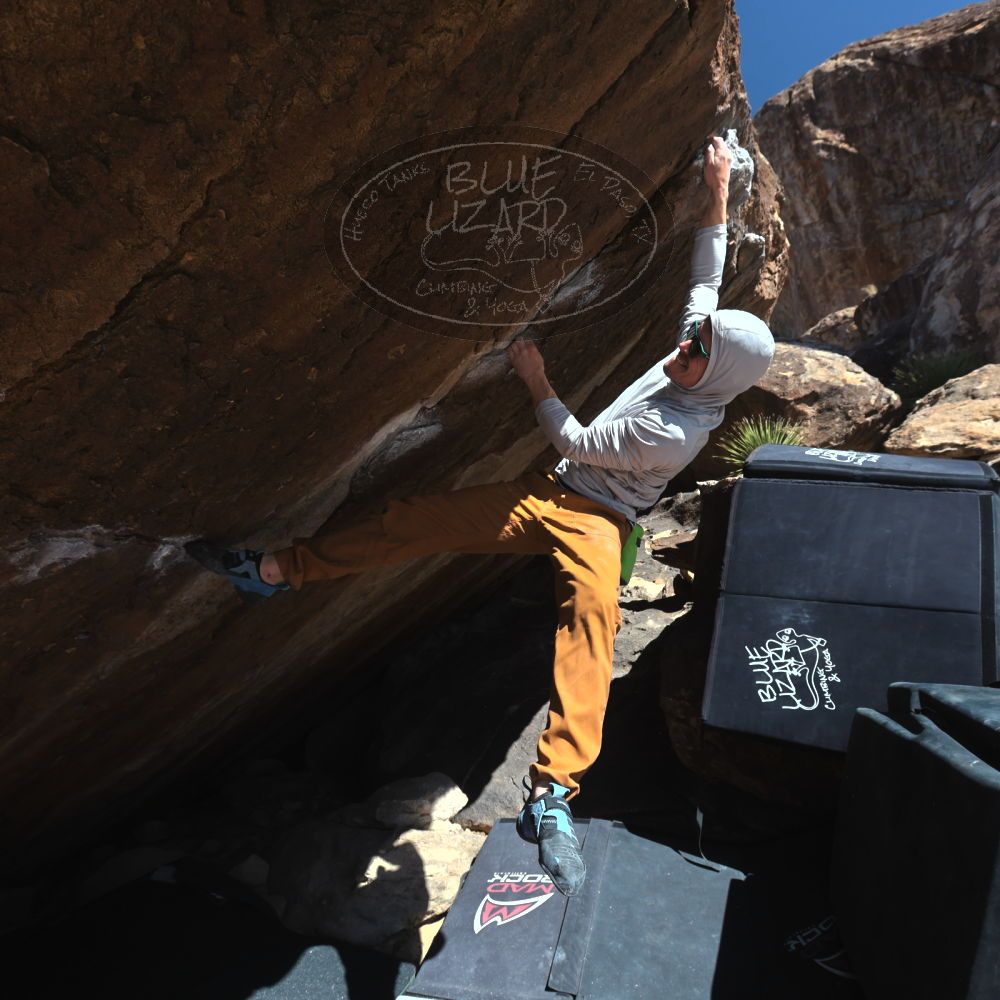 

Filename: SRM_20260307_1153290.jpg
Aperture: f/5.6
Shutter Speed: 1/500
Body: Canon EOS R6
Lens: Canon EF 16-35mm f/2.8 L