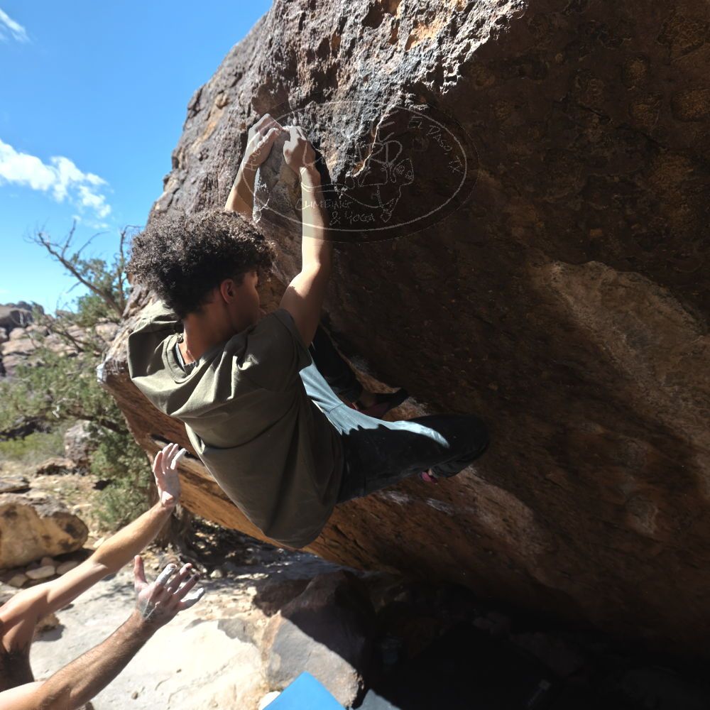 

Filename: SRM_20260307_1158050.jpg
Aperture: f/5.6
Shutter Speed: 1/500
Body: Canon EOS R6
Lens: Canon EF 16-35mm f/2.8 L