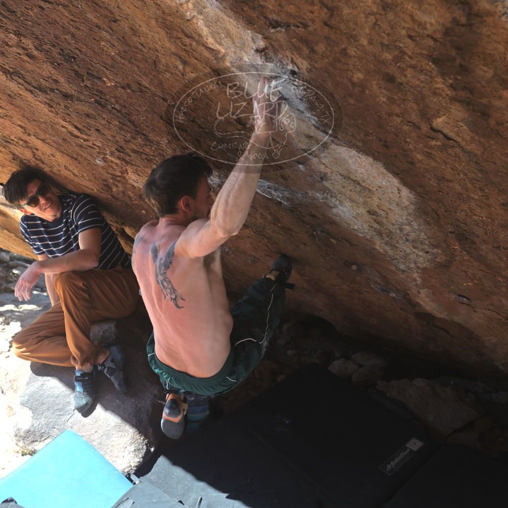 

Filename: SRM_20260307_1201200.jpg
Aperture: f/5.6
Shutter Speed: 1/500
Body: Canon EOS R6
Lens: Canon EF 16-35mm f/2.8 L