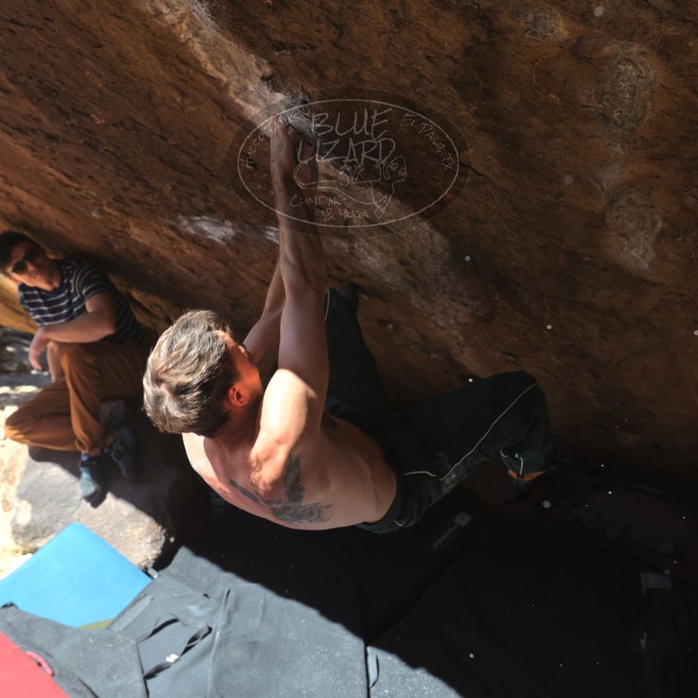 

Filename: SRM_20260307_1201230.jpg
Aperture: f/5.6
Shutter Speed: 1/500
Body: Canon EOS R6
Lens: Canon EF 16-35mm f/2.8 L