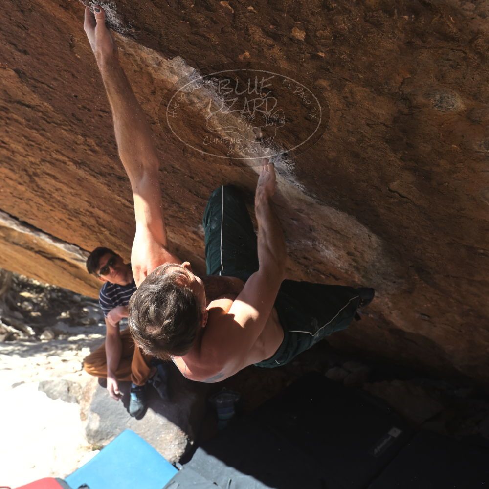 

Filename: SRM_20260307_1201280.jpg
Aperture: f/5.6
Shutter Speed: 1/500
Body: Canon EOS R6
Lens: Canon EF 16-35mm f/2.8 L