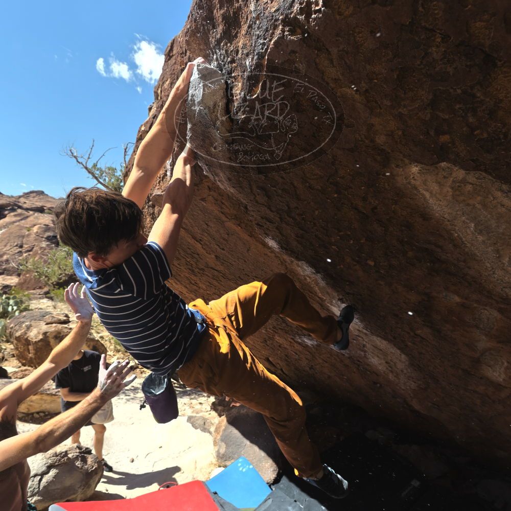 

Filename: SRM_20260307_1202470.jpg
Aperture: f/5.6
Shutter Speed: 1/500
Body: Canon EOS R6
Lens: Canon EF 16-35mm f/2.8 L