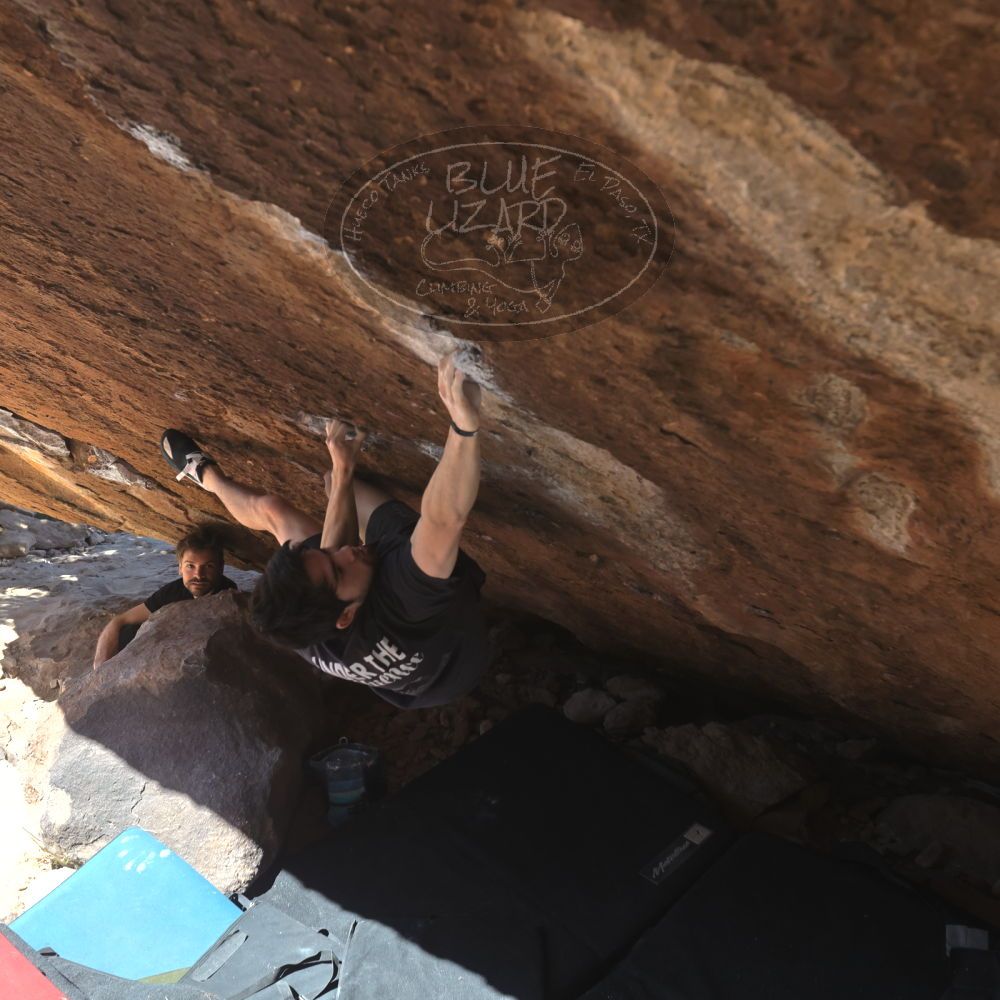 

Filename: SRM_20260307_1204460.jpg
Aperture: f/5.6
Shutter Speed: 1/500
Body: Canon EOS R6
Lens: Canon EF 16-35mm f/2.8 L