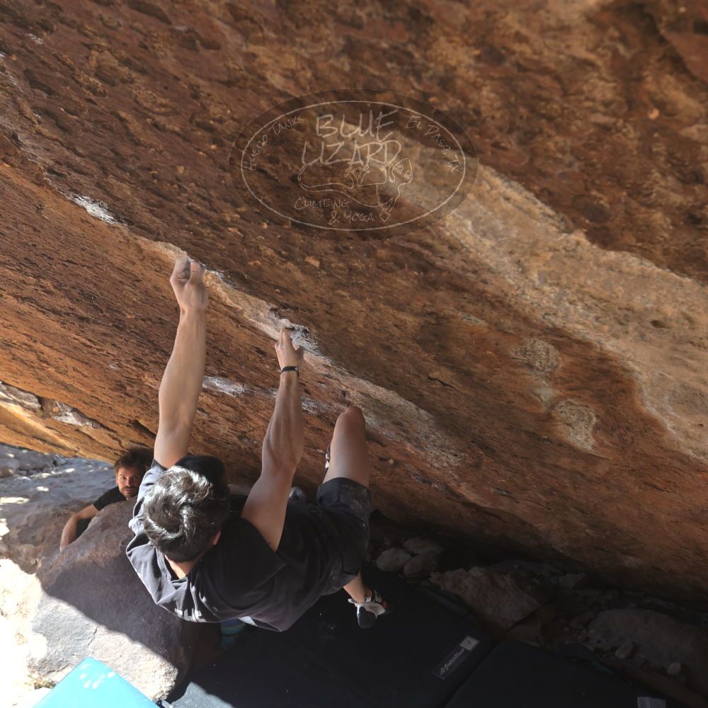 

Filename: SRM_20260307_1204520.jpg
Aperture: f/5.6
Shutter Speed: 1/500
Body: Canon EOS R6
Lens: Canon EF 16-35mm f/2.8 L