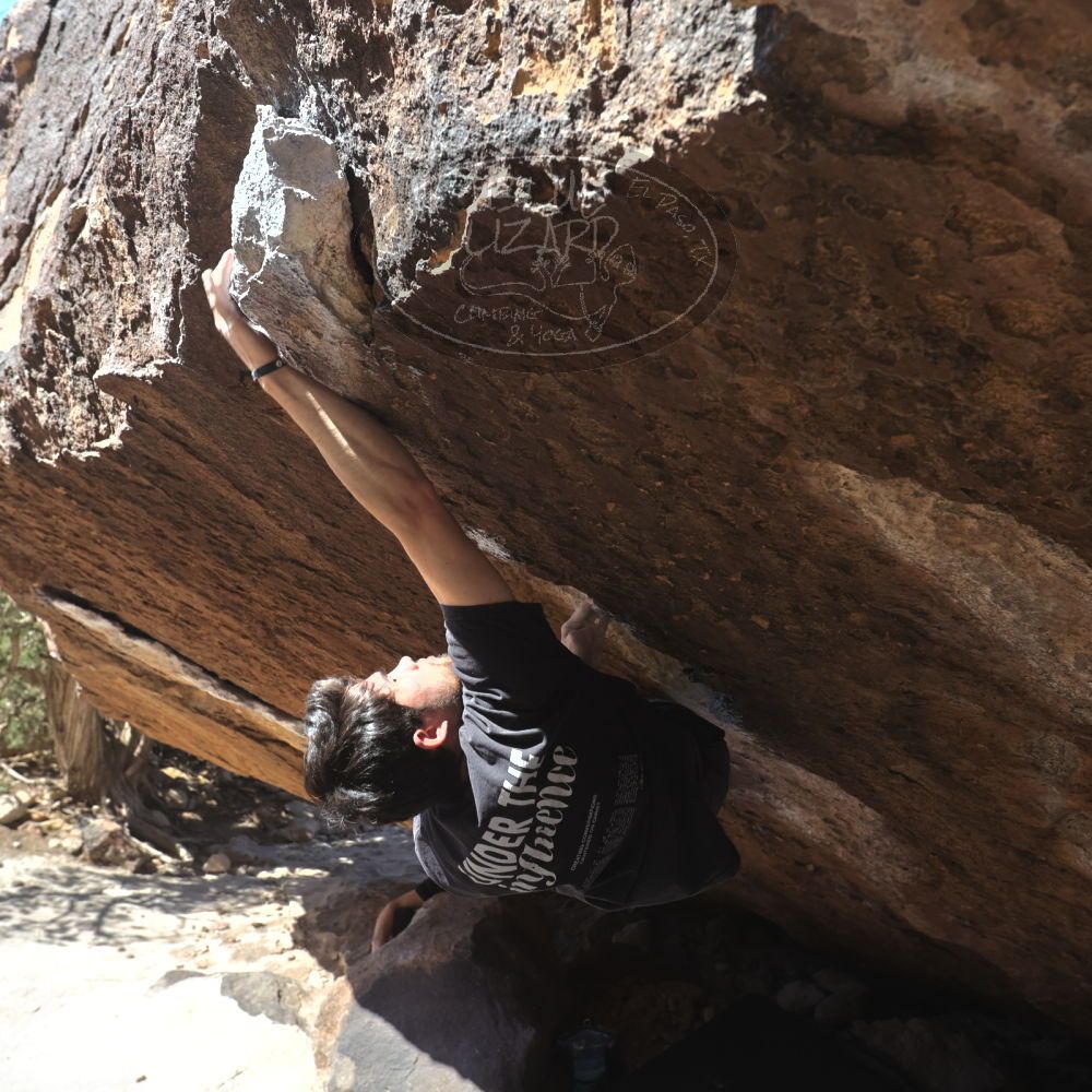 

Filename: SRM_20260307_1204580.jpg
Aperture: f/5.6
Shutter Speed: 1/500
Body: Canon EOS R6
Lens: Canon EF 16-35mm f/2.8 L