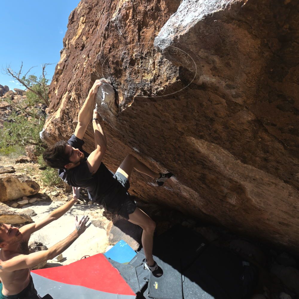 

Filename: SRM_20260307_1205030.jpg
Aperture: f/5.6
Shutter Speed: 1/500
Body: Canon EOS R6
Lens: Canon EF 16-35mm f/2.8 L