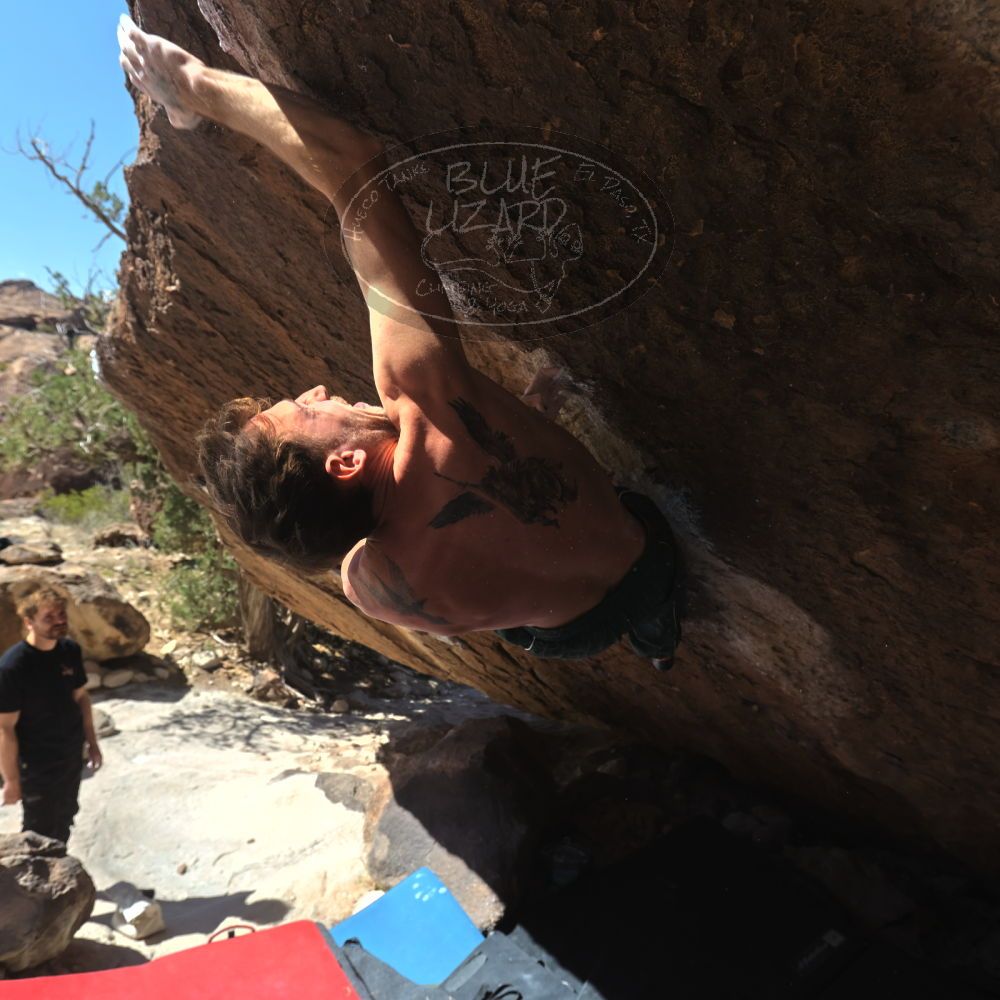 

Filename: SRM_20260307_1207460.jpg
Aperture: f/5.6
Shutter Speed: 1/500
Body: Canon EOS R6
Lens: Canon EF 16-35mm f/2.8 L