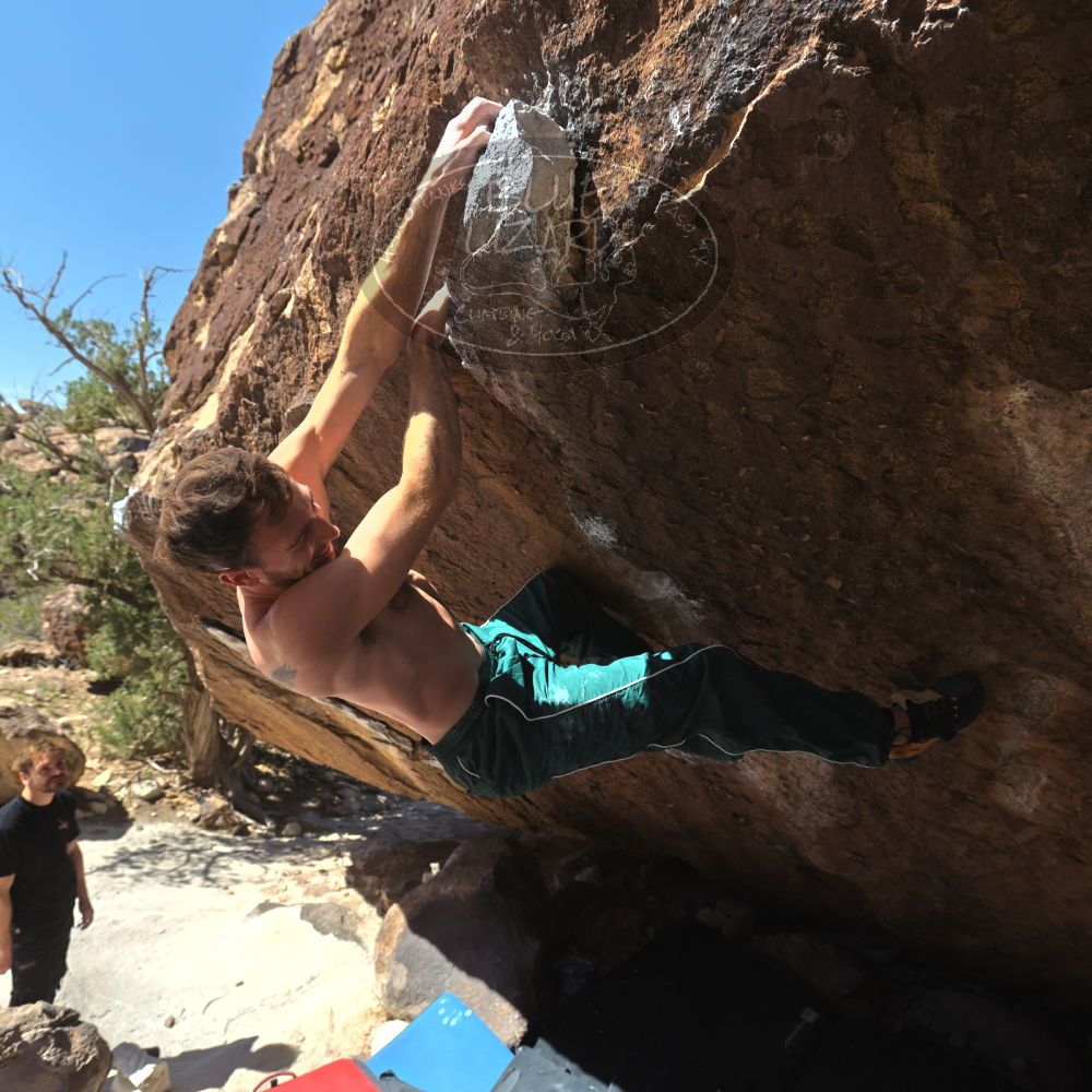 

Filename: SRM_20260307_1207510.jpg
Aperture: f/5.6
Shutter Speed: 1/500
Body: Canon EOS R6
Lens: Canon EF 16-35mm f/2.8 L