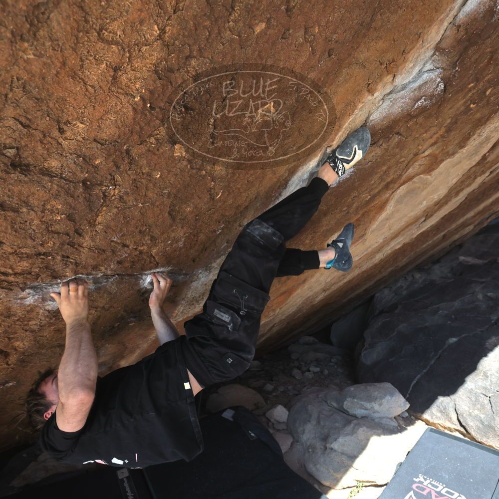 

Filename: SRM_20260307_1210180.jpg
Aperture: f/5.6
Shutter Speed: 1/500
Body: Canon EOS R6
Lens: Canon EF 16-35mm f/2.8 L