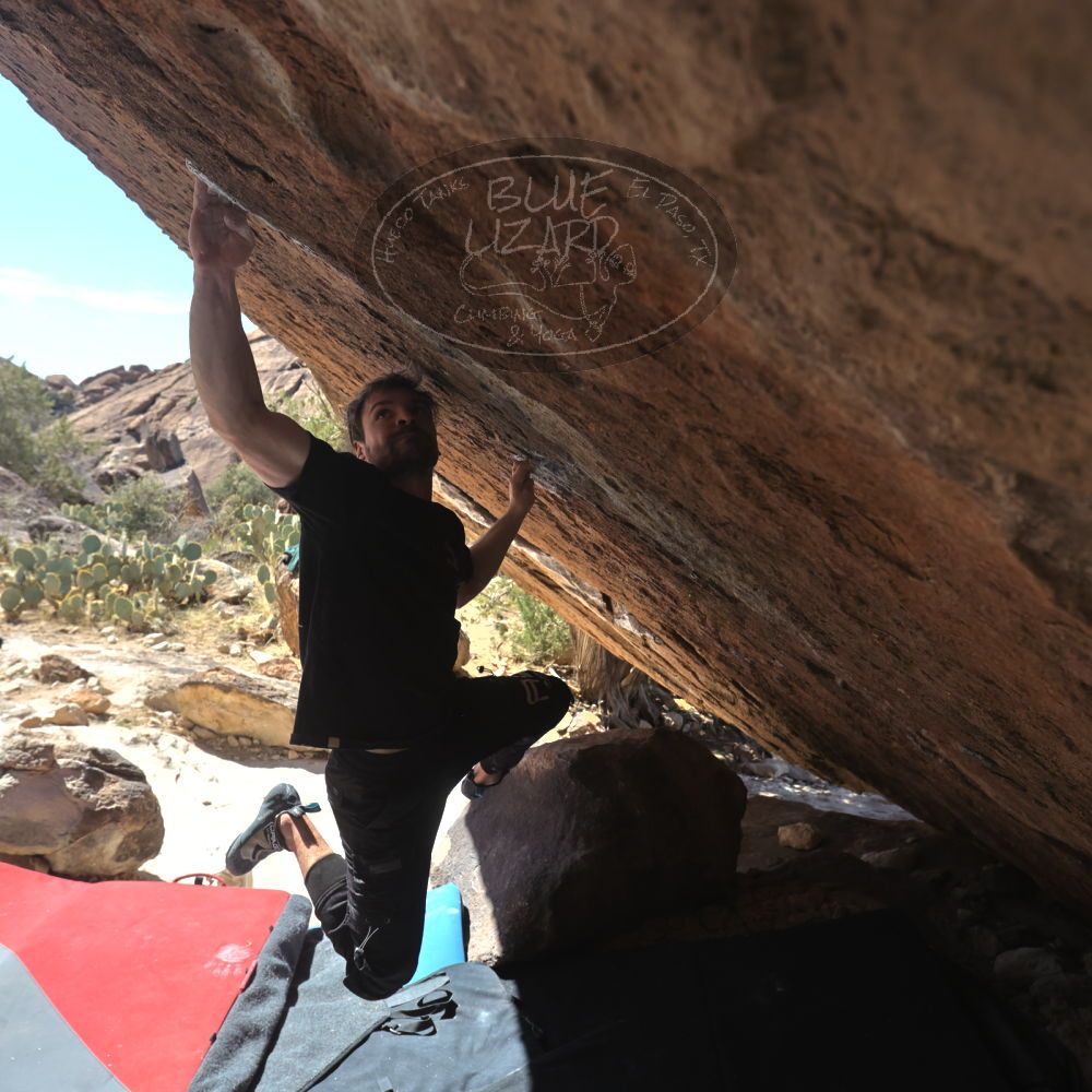 

Filename: SRM_20260307_1214051.jpg
Aperture: f/5.6
Shutter Speed: 1/500
Body: Canon EOS R6
Lens: Canon EF 16-35mm f/2.8 L