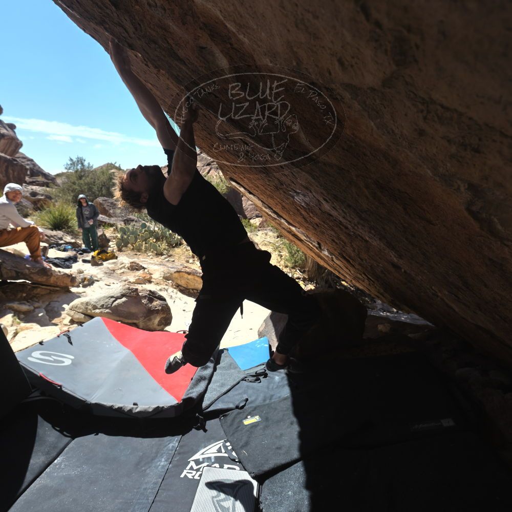 

Filename: SRM_20260307_1214100.jpg
Aperture: f/5.6
Shutter Speed: 1/500
Body: Canon EOS R6
Lens: Canon EF 16-35mm f/2.8 L