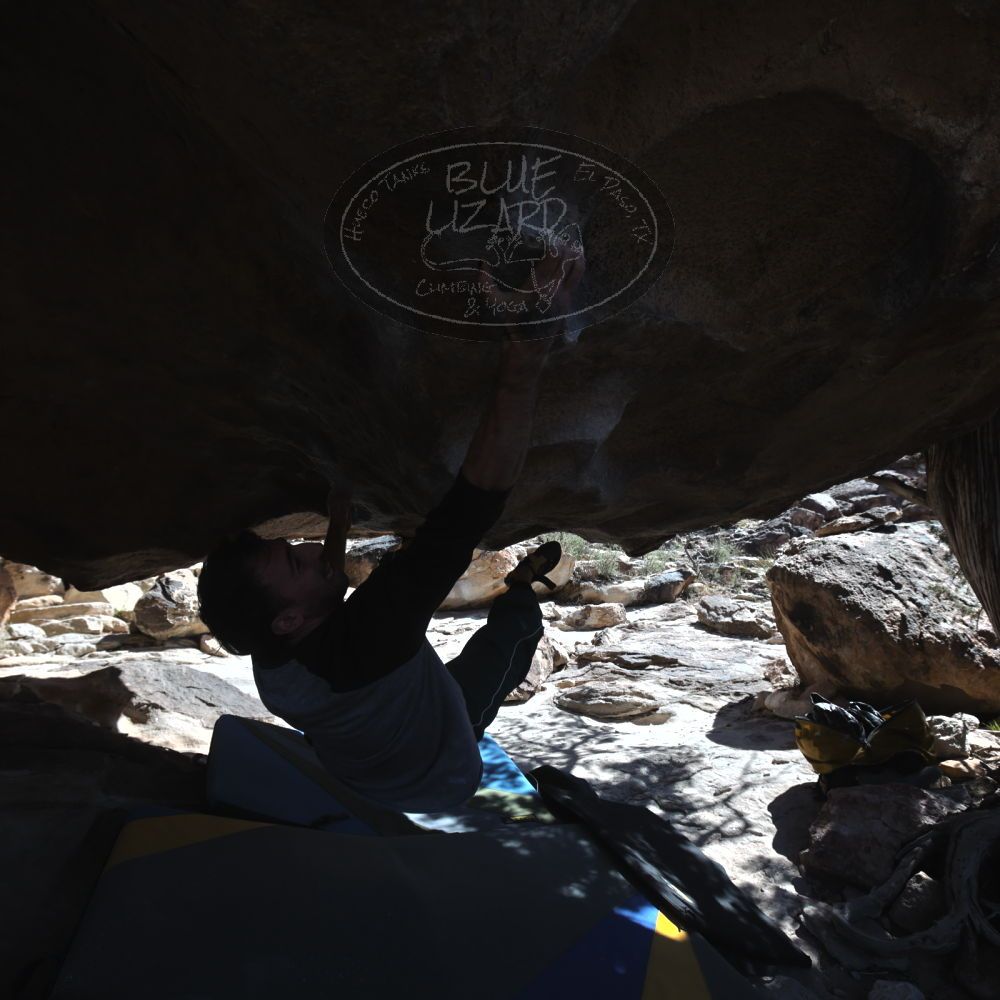 

Filename: SRM_20260307_1237010.jpg
Aperture: f/5.6
Shutter Speed: 1/500
Body: Canon EOS R6
Lens: Canon EF 16-35mm f/2.8 L