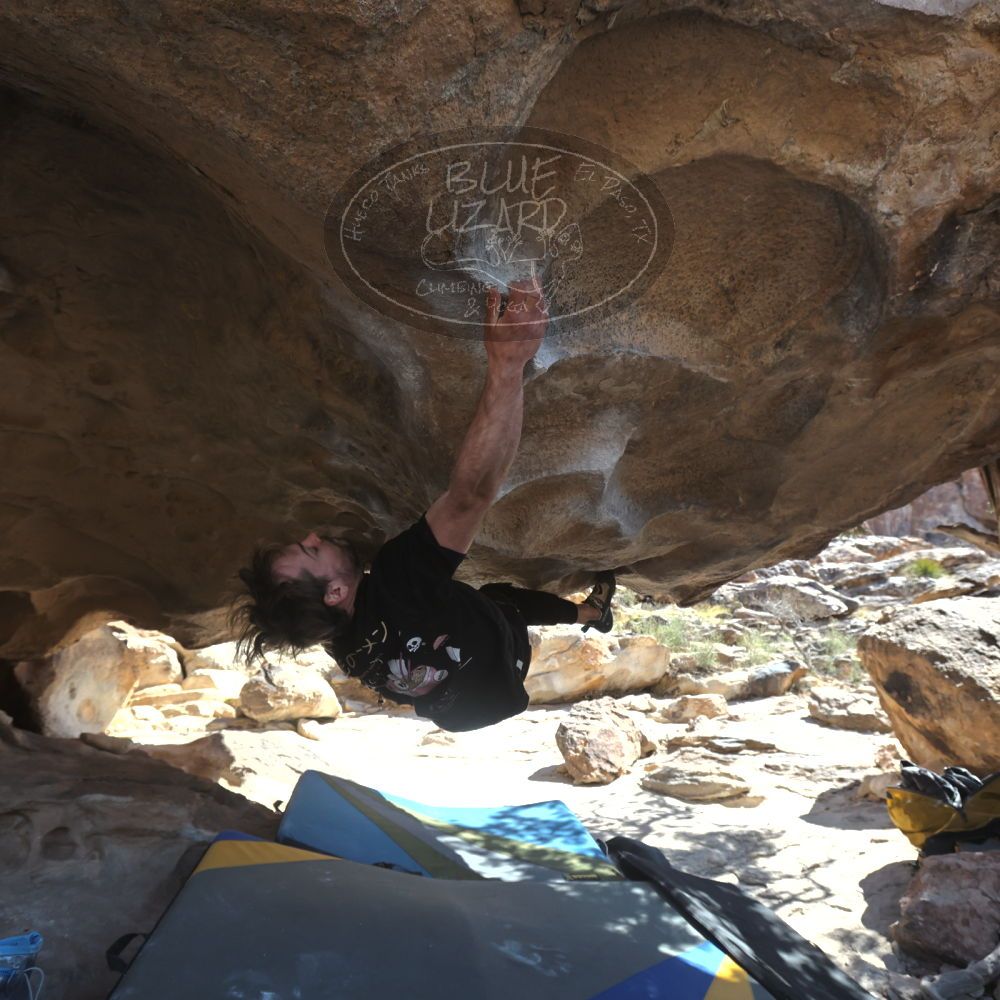 

Filename: SRM_20260307_1239271.jpg
Aperture: f/5.6
Shutter Speed: 1/500
Body: Canon EOS R6
Lens: Canon EF 16-35mm f/2.8 L