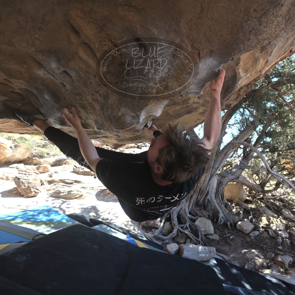 

Filename: SRM_20260307_1247461.jpg
Aperture: f/5.6
Shutter Speed: 1/500
Body: Canon EOS R6
Lens: Canon EF 16-35mm f/2.8 L