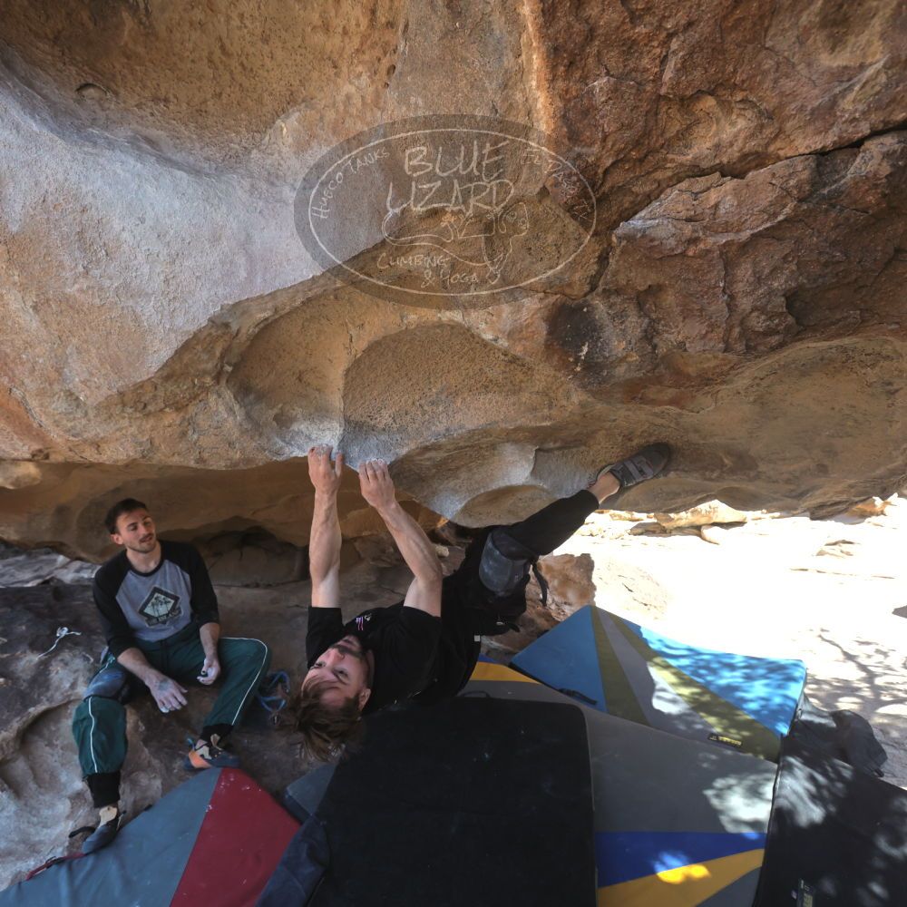 

Filename: SRM_20260307_1251070.jpg
Aperture: f/5.0
Shutter Speed: 1/500
Body: Canon EOS R6
Lens: Canon EF 16-35mm f/2.8 L