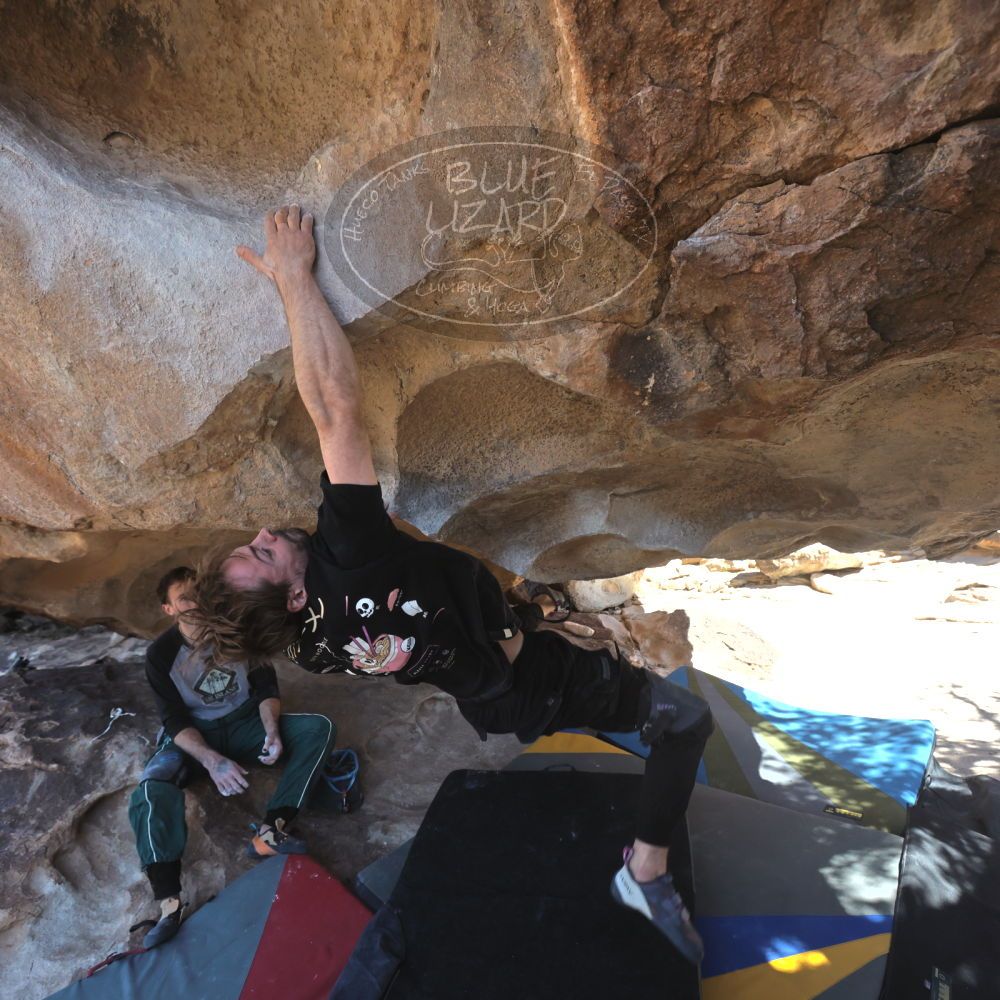 

Filename: SRM_20260307_1251100.jpg
Aperture: f/5.0
Shutter Speed: 1/500
Body: Canon EOS R6
Lens: Canon EF 16-35mm f/2.8 L