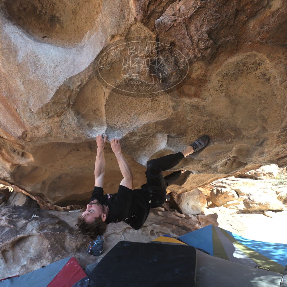 

Filename: SRM_20260307_1252530.jpg
Aperture: f/5.0
Shutter Speed: 1/500
Body: Canon EOS R6
Lens: Canon EF 16-35mm f/2.8 L