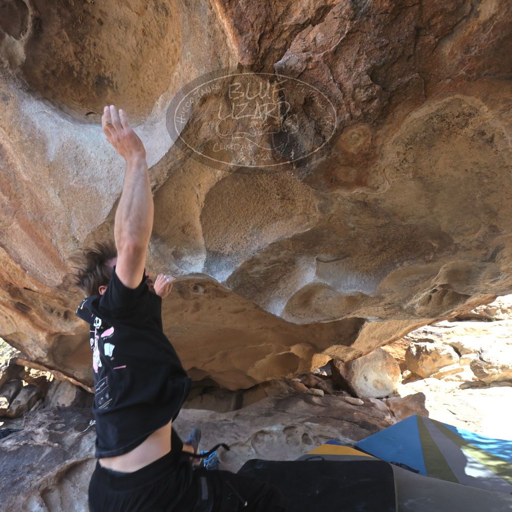 

Filename: SRM_20260307_1252541.jpg
Aperture: f/5.0
Shutter Speed: 1/500
Body: Canon EOS R6
Lens: Canon EF 16-35mm f/2.8 L