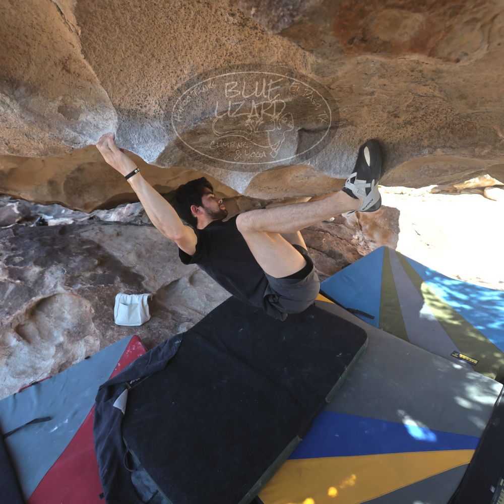 

Filename: SRM_20260307_1301120.jpg
Aperture: f/5.0
Shutter Speed: 1/500
Body: Canon EOS R6
Lens: Canon EF 16-35mm f/2.8 L