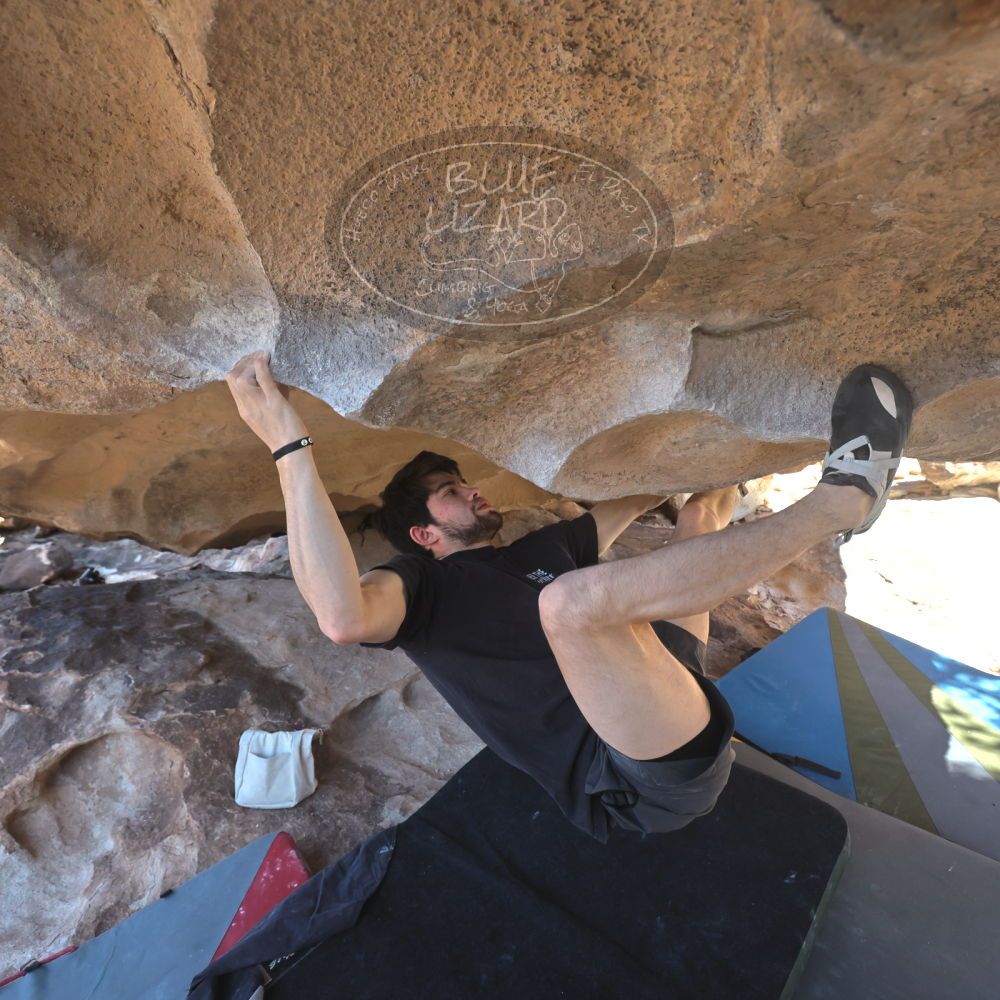 

Filename: SRM_20260307_1301150.jpg
Aperture: f/5.0
Shutter Speed: 1/500
Body: Canon EOS R6
Lens: Canon EF 16-35mm f/2.8 L