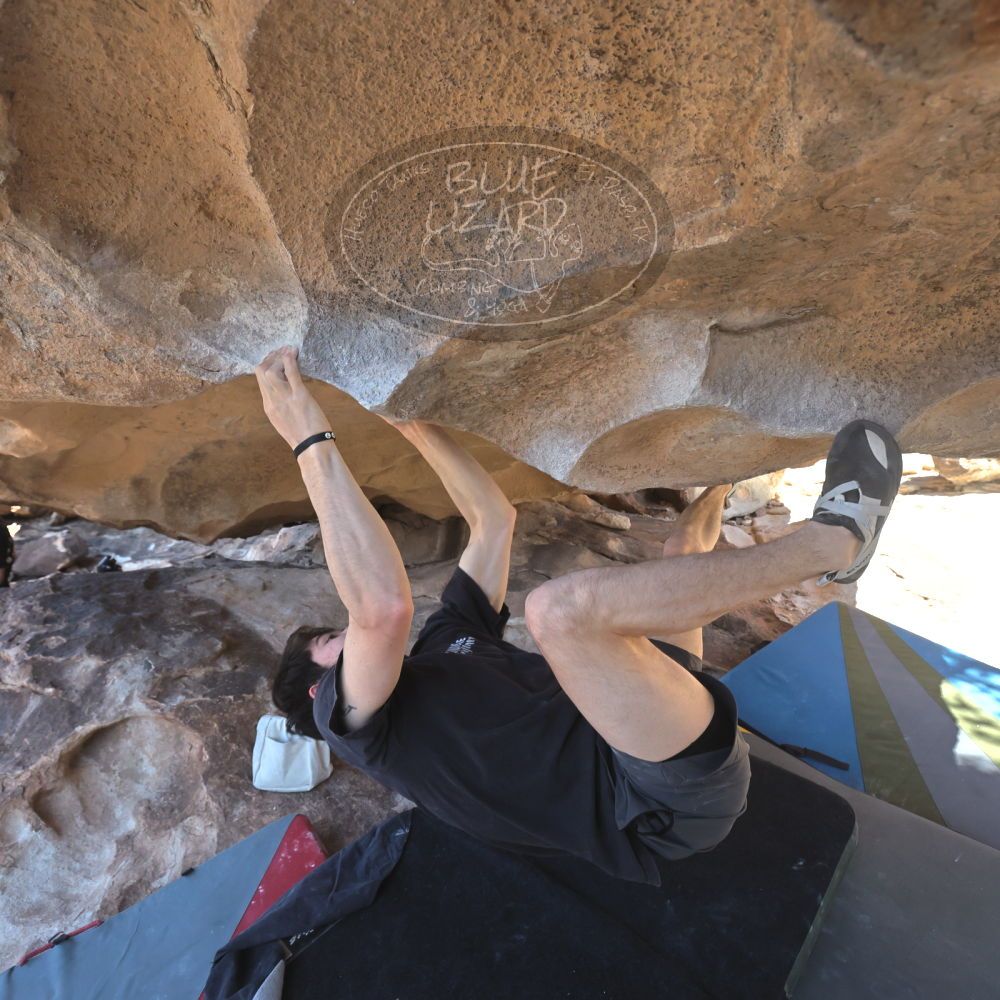 

Filename: SRM_20260307_1301160.jpg
Aperture: f/5.0
Shutter Speed: 1/500
Body: Canon EOS R6
Lens: Canon EF 16-35mm f/2.8 L