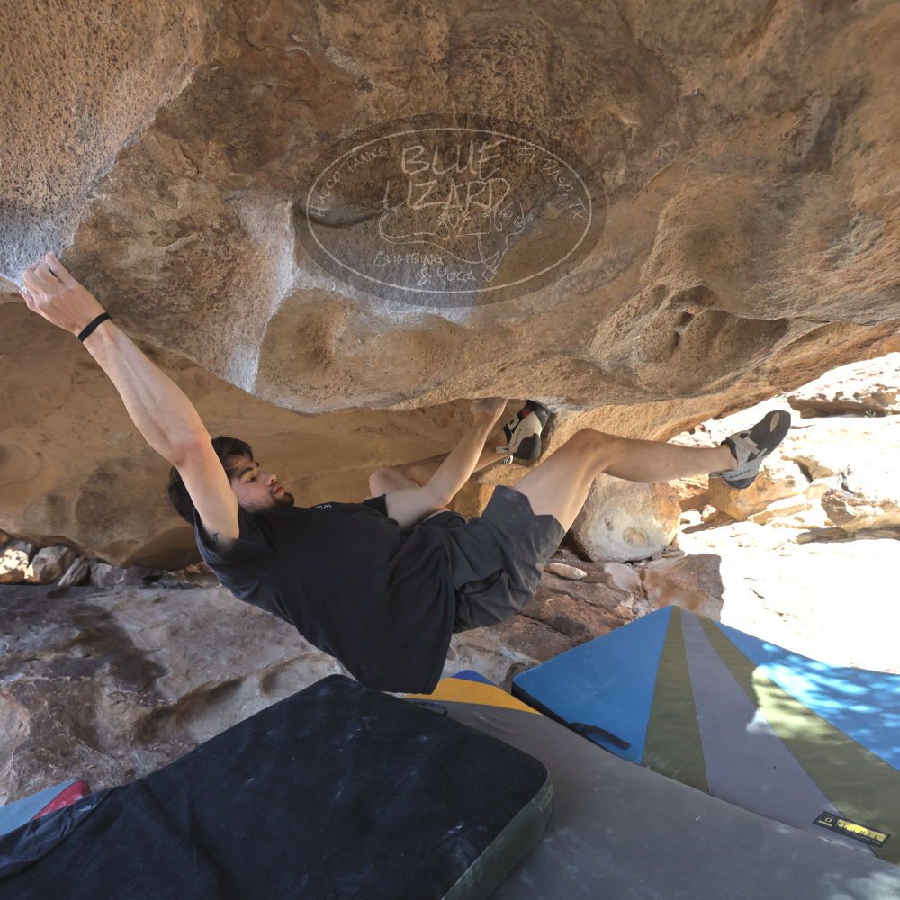 

Filename: SRM_20260307_1303510.jpg
Aperture: f/5.0
Shutter Speed: 1/500
Body: Canon EOS R6
Lens: Canon EF 16-35mm f/2.8 L