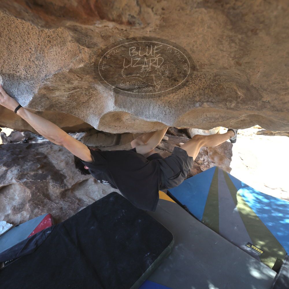 

Filename: SRM_20260307_1306190.jpg
Aperture: f/5.0
Shutter Speed: 1/500
Body: Canon EOS R6
Lens: Canon EF 16-35mm f/2.8 L