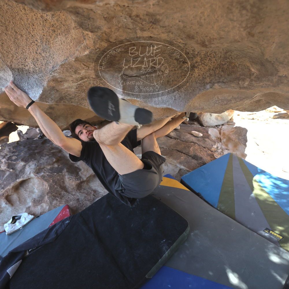 

Filename: SRM_20260307_1306220.jpg
Aperture: f/5.0
Shutter Speed: 1/500
Body: Canon EOS R6
Lens: Canon EF 16-35mm f/2.8 L