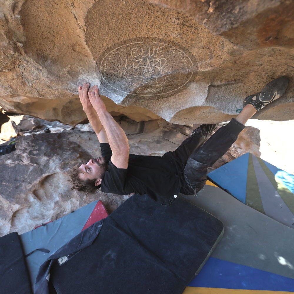 

Filename: SRM_20260307_1310190.jpg
Aperture: f/5.0
Shutter Speed: 1/500
Body: Canon EOS R6
Lens: Canon EF 16-35mm f/2.8 L