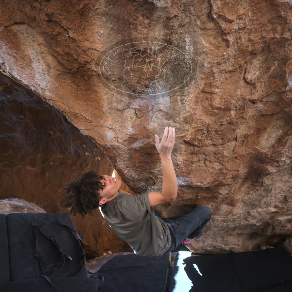 

Filename: SRM_20260307_1329370.jpg
Aperture: f/5.0
Shutter Speed: 1/500
Body: Canon EOS R6
Lens: Canon EF 16-35mm f/2.8 L