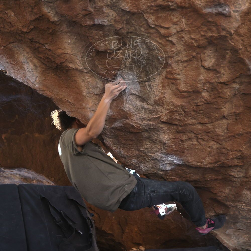 

Filename: SRM_20260307_1345570.jpg
Aperture: f/4.0
Shutter Speed: 1/400
Body: Canon EOS R6
Lens: Canon EF 16-35mm f/2.8 L