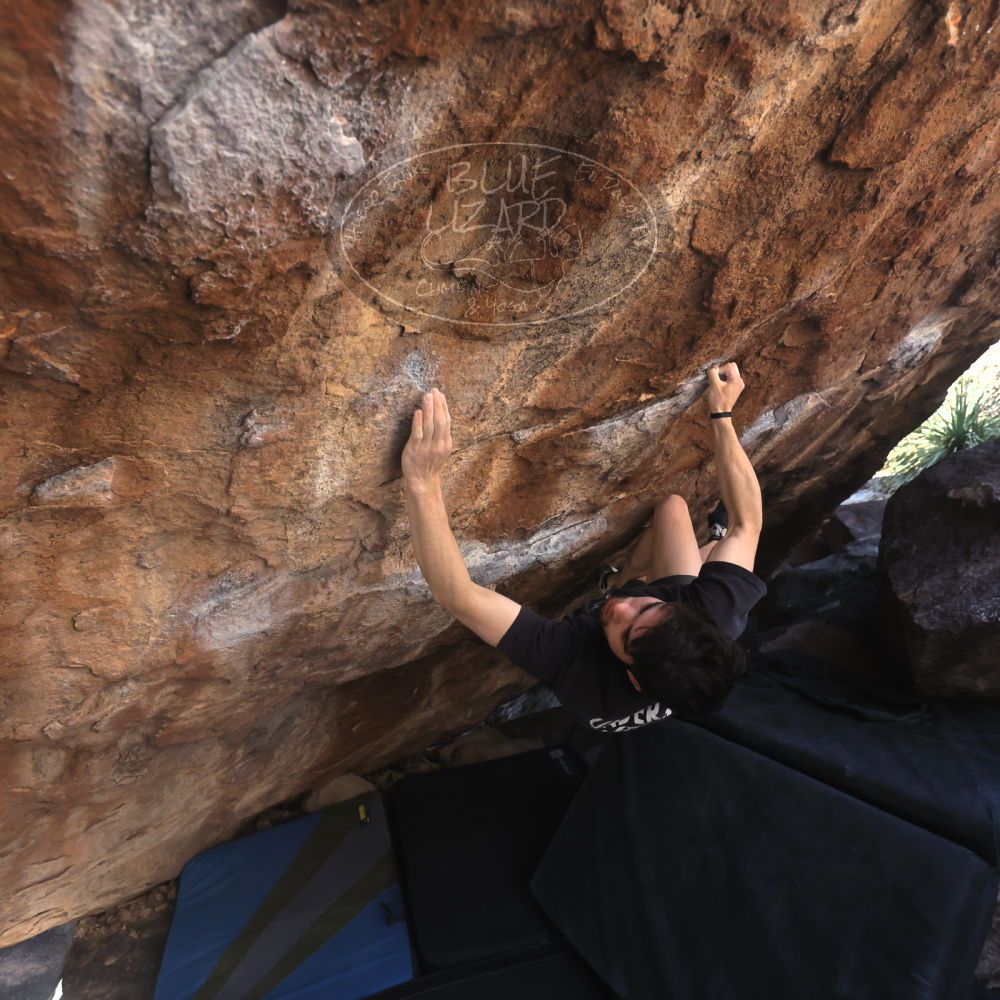 

Filename: SRM_20260307_1357390.jpg
Aperture: f/4.0
Shutter Speed: 1/400
Body: Canon EOS R6
Lens: Canon EF 16-35mm f/2.8 L