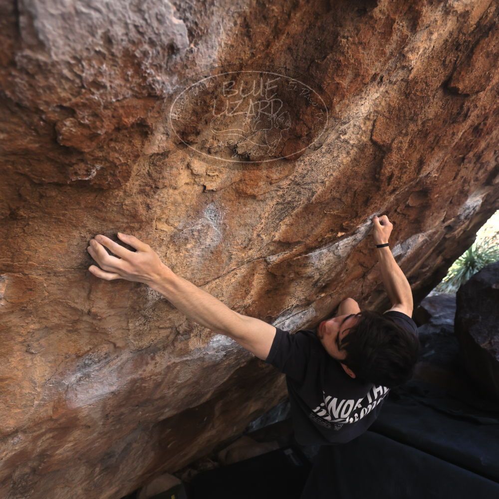 

Filename: SRM_20260307_1359480.jpg
Aperture: f/4.0
Shutter Speed: 1/400
Body: Canon EOS R6
Lens: Canon EF 16-35mm f/2.8 L