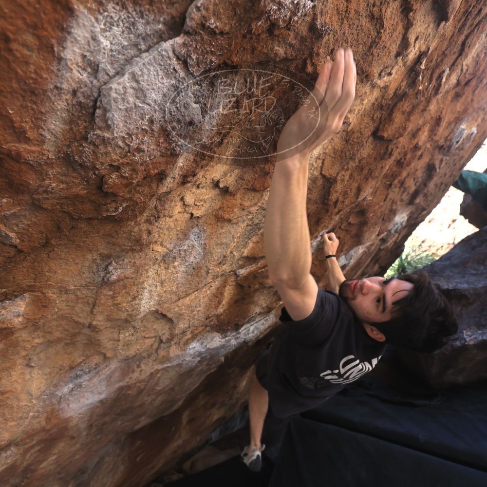 

Filename: SRM_20260307_1401320.jpg
Aperture: f/4.0
Shutter Speed: 1/400
Body: Canon EOS R6
Lens: Canon EF 16-35mm f/2.8 L