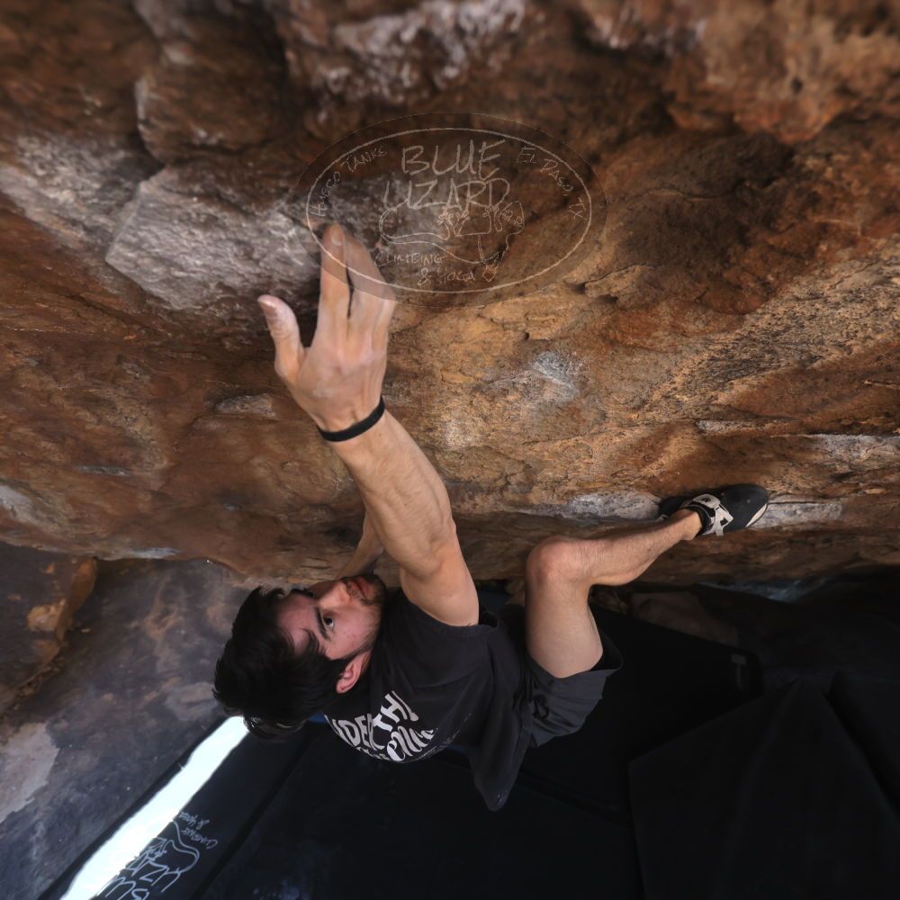 

Filename: SRM_20260307_1407301.jpg
Aperture: f/4.0
Shutter Speed: 1/400
Body: Canon EOS R6
Lens: Canon EF 16-35mm f/2.8 L