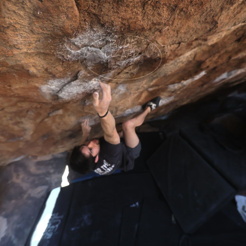 

Filename: SRM_20260307_1409110.jpg
Aperture: f/4.0
Shutter Speed: 1/400
Body: Canon EOS R6
Lens: Canon EF 16-35mm f/2.8 L