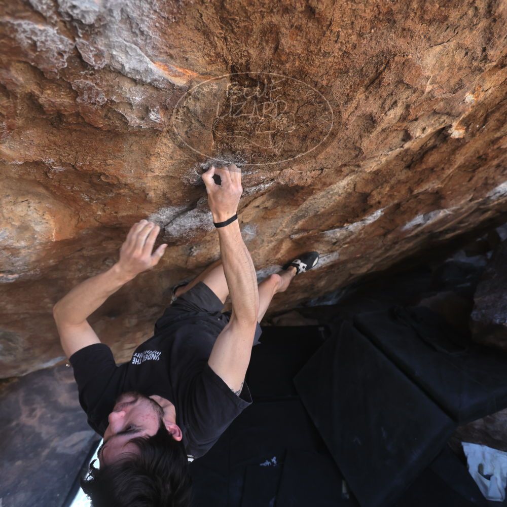 

Filename: SRM_20260307_1409200.jpg
Aperture: f/4.0
Shutter Speed: 1/400
Body: Canon EOS R6
Lens: Canon EF 16-35mm f/2.8 L