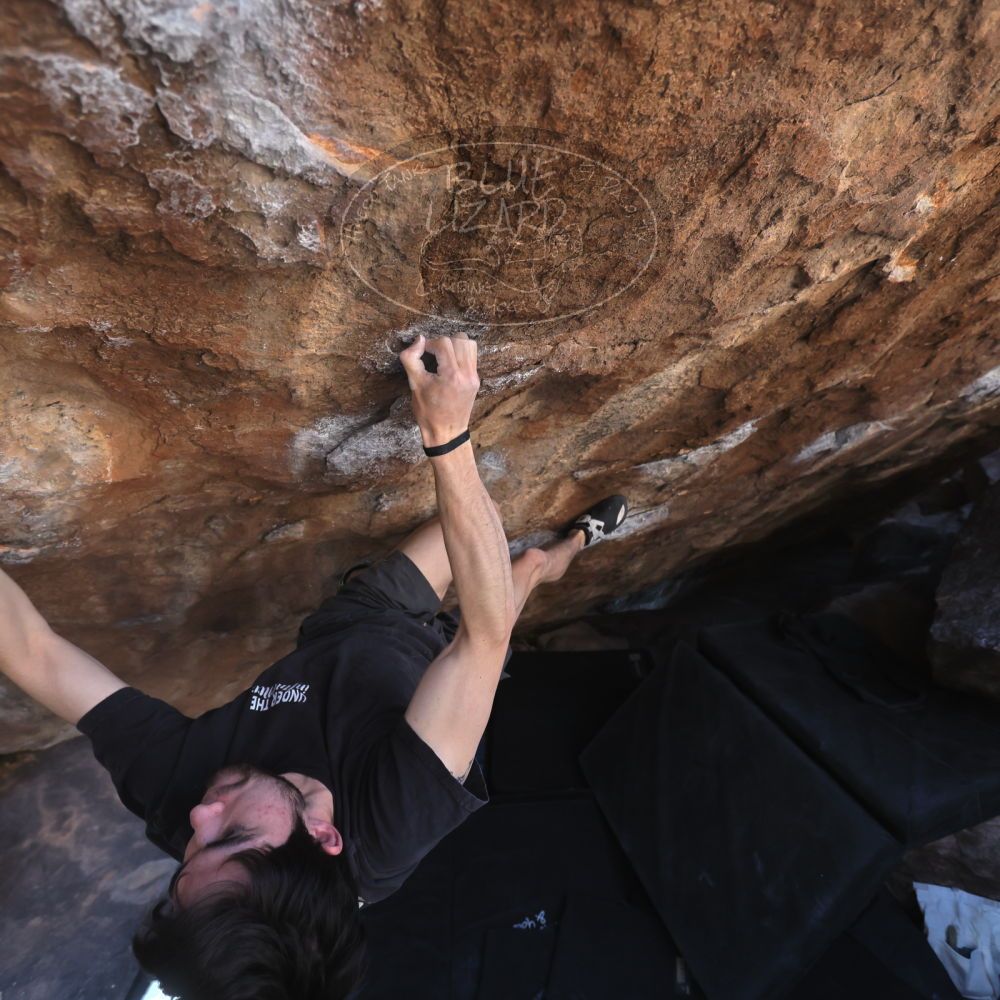 

Filename: SRM_20260307_1409210.jpg
Aperture: f/4.0
Shutter Speed: 1/400
Body: Canon EOS R6
Lens: Canon EF 16-35mm f/2.8 L