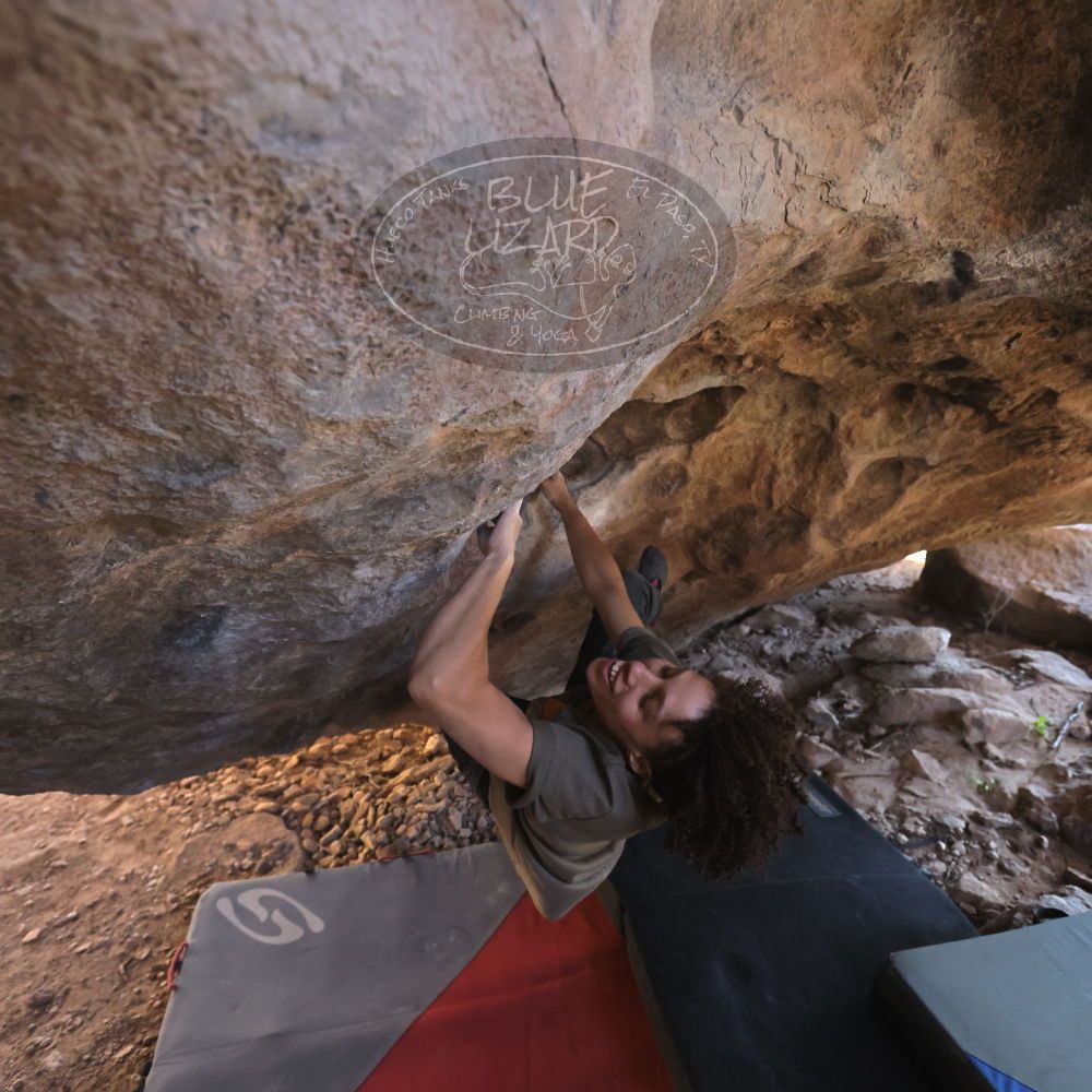 

Filename: SRM_20260307_1518310.jpg
Aperture: f/4.0
Shutter Speed: 1/400
Body: Canon EOS R6
Lens: Canon EF 16-35mm f/2.8 L