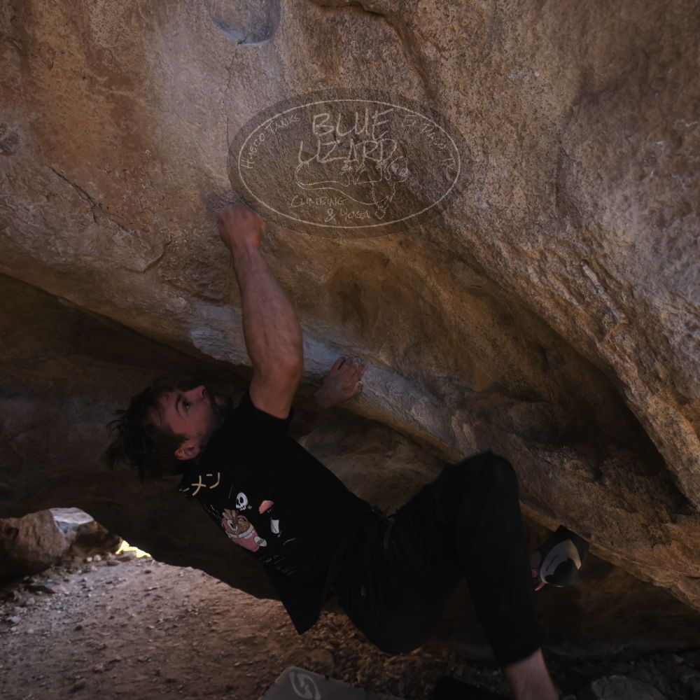 

Filename: SRM_20260307_1524510.jpg
Aperture: f/5.6
Shutter Speed: 1/400
Body: Canon EOS R6
Lens: Canon EF 16-35mm f/2.8 L